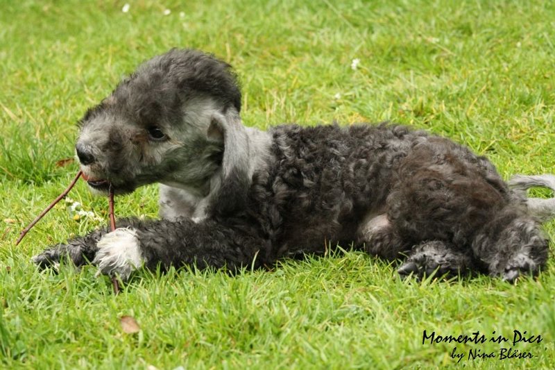 Antares 2009-07-12 (40).JPG